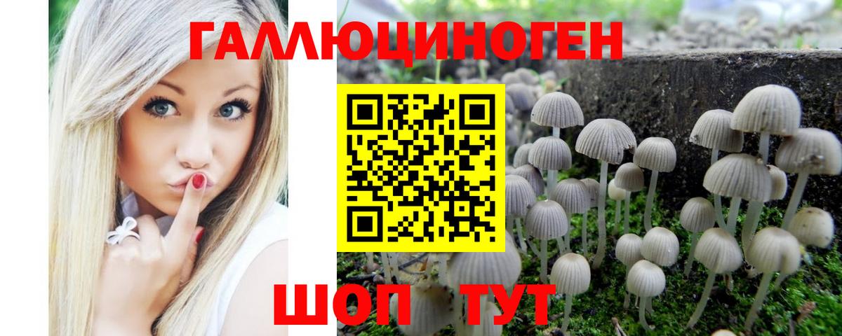 Псилоцибиновые грибы GOLDEN TEACHER Таганрог