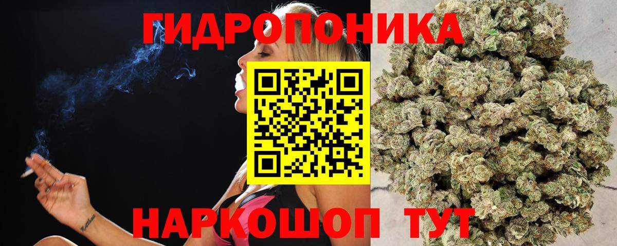 Конопля план  Канабис Ganja  Таганрог  Вход с VPN  Канабис индика 